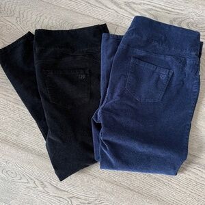 2 Pair - DG2 by Diane Gilman -Women’s Pant